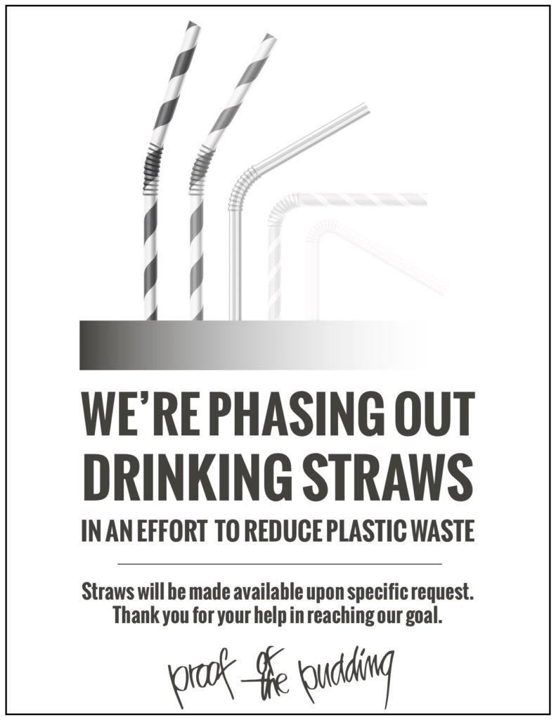 POP No Straws Poster with Border
